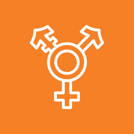 Access Gender-Affirming Medical Care and HRT For Students